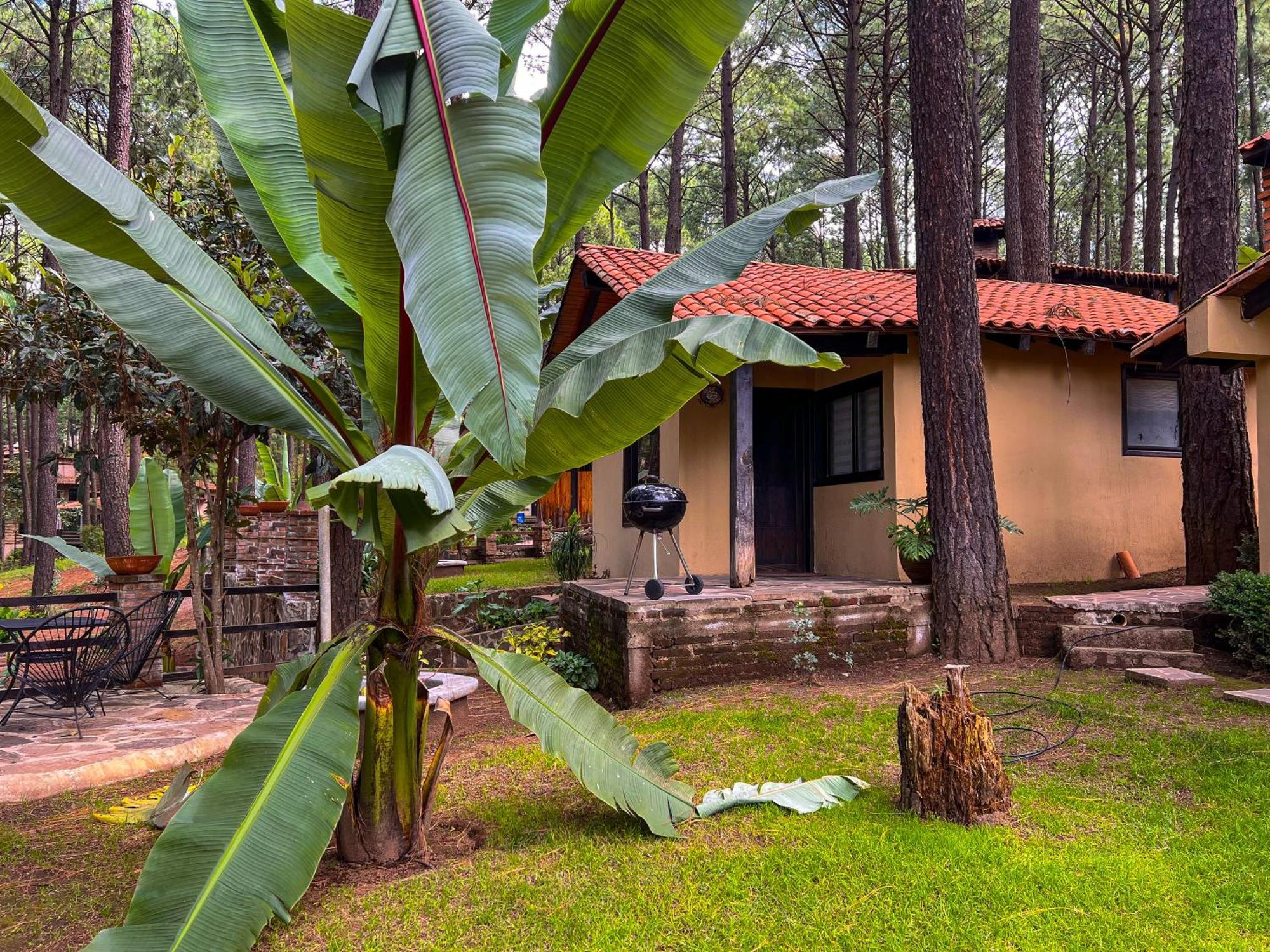 Cabanas Las Morenas Mazamitla Kültér fotó