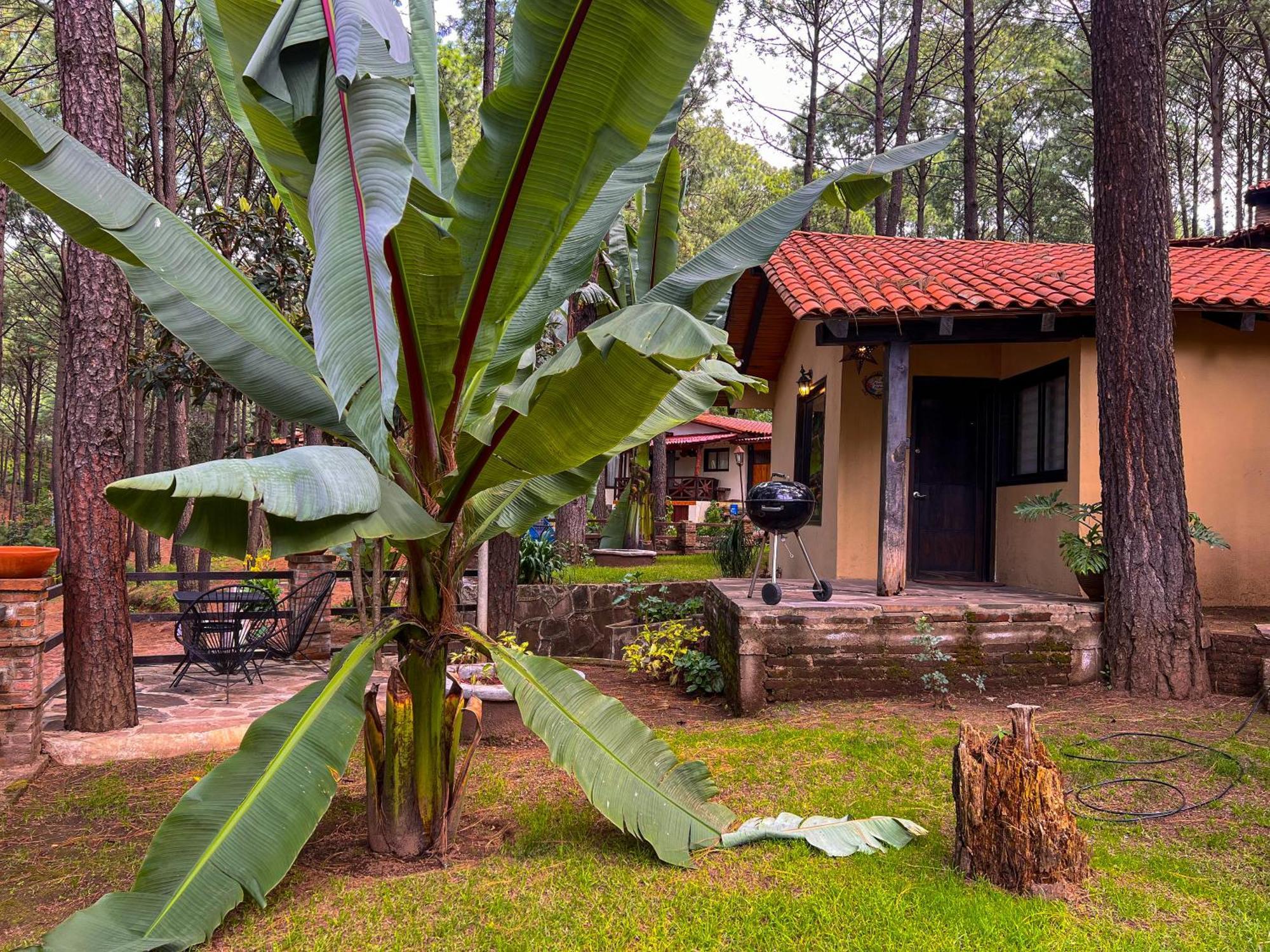 Cabanas Las Morenas Mazamitla Kültér fotó